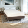 Sommier paris 2 plazas