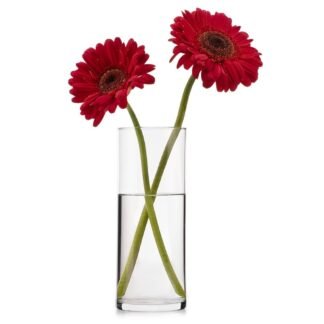 Marcal Florero de vidrio Chipinque 9x25
